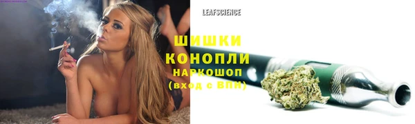 твердый Медвежьегорск