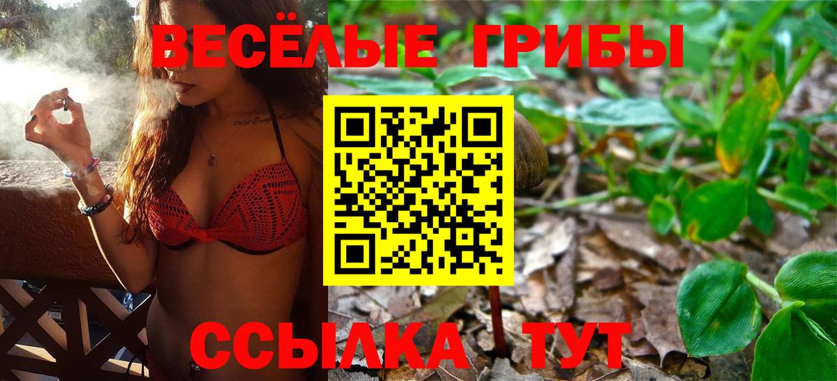 Обнинск  Галлюциногенные грибы Psilocybine cubensis  Вход с VPN 