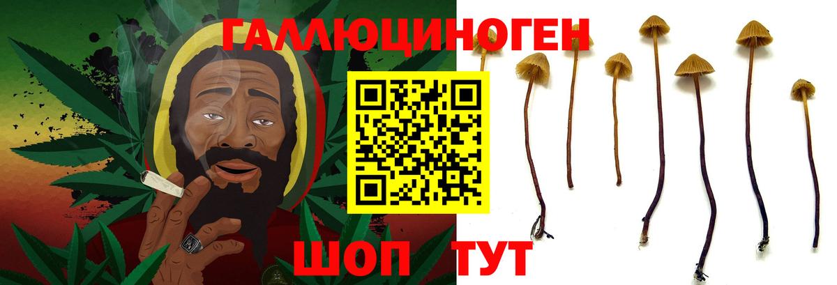 Галлюциногенные грибы Cubensis Обнинск