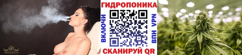 где купить наркоту  Обнинск  МАРИХУАНА ГИДРОПОН 