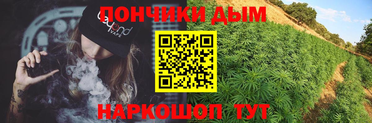 A PVP Обнинск